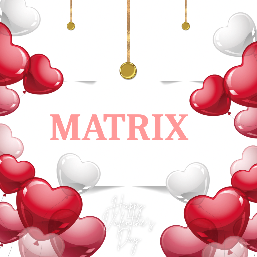 Matrix